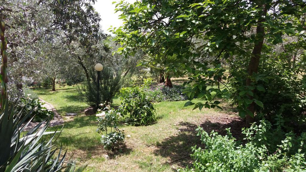 Bauernhof L'uliveto