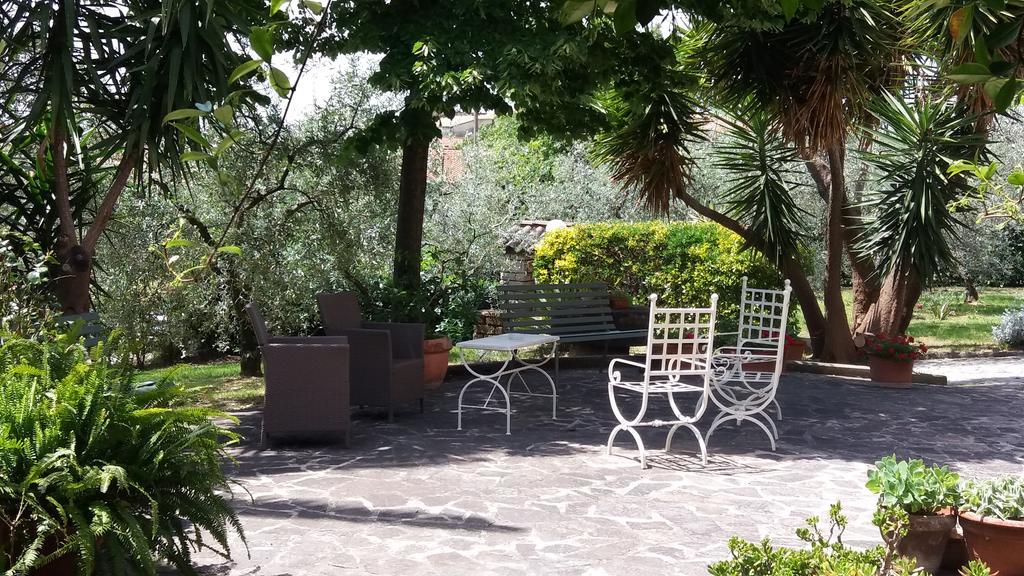 L'uliveto Montebuono (Lazio)